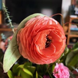 Meet your Posher, Kristin